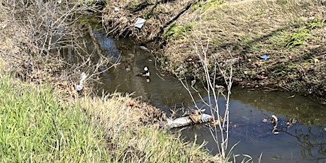 Grayson Creek Earth Day 2024 cleanup