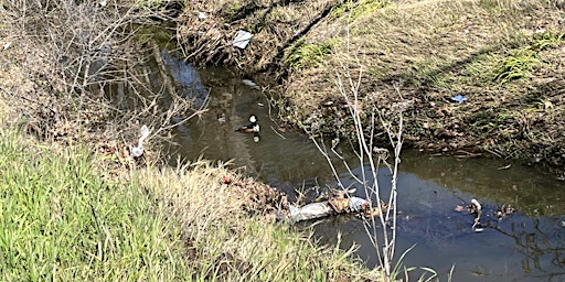 Imagem principal de Grayson Creek Earth Day 2024 cleanup