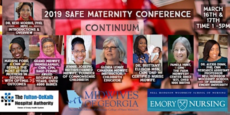 Today -Better Birth Outcomes Georgia "Safe Maternity Conference Continuum" for Pregnancy, Postpartum & Professionals with Experts from Around the Globe- Birth Trauma Prevention & Model of Care Solutions primary image
