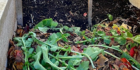 Compost and Worm Farms primary image