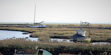 SUMMER SALT MARSH FORAGING EXPEDITION  primary image