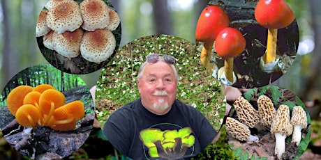 Wild Mushrooms: A World of Wonder at our Feet primary image