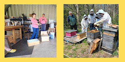 Image principale de Barter Based: Homesteading 101:  Beekeeping