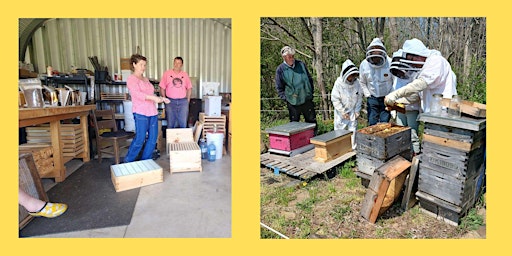 Imagen principal de Barter Based: Homesteading 101:  Beekeeping