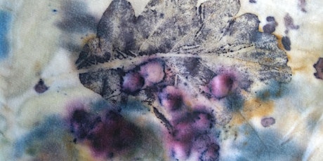 Image principale de Eco Print onto Fabric with Leaves, Berries and Kitchen Ingredients