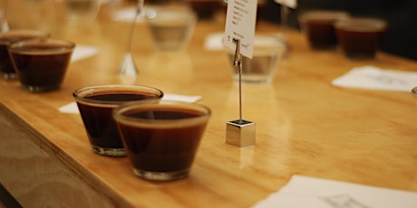 Brazilian Coffee Cupping in Sydney primary image