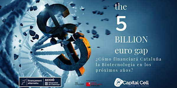 The 5 Billion Euro Gap
