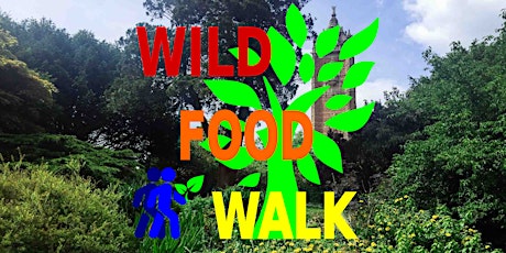 April Brandon Hill Park (Bristol) Wild Food Foraging/ Forager Walk.