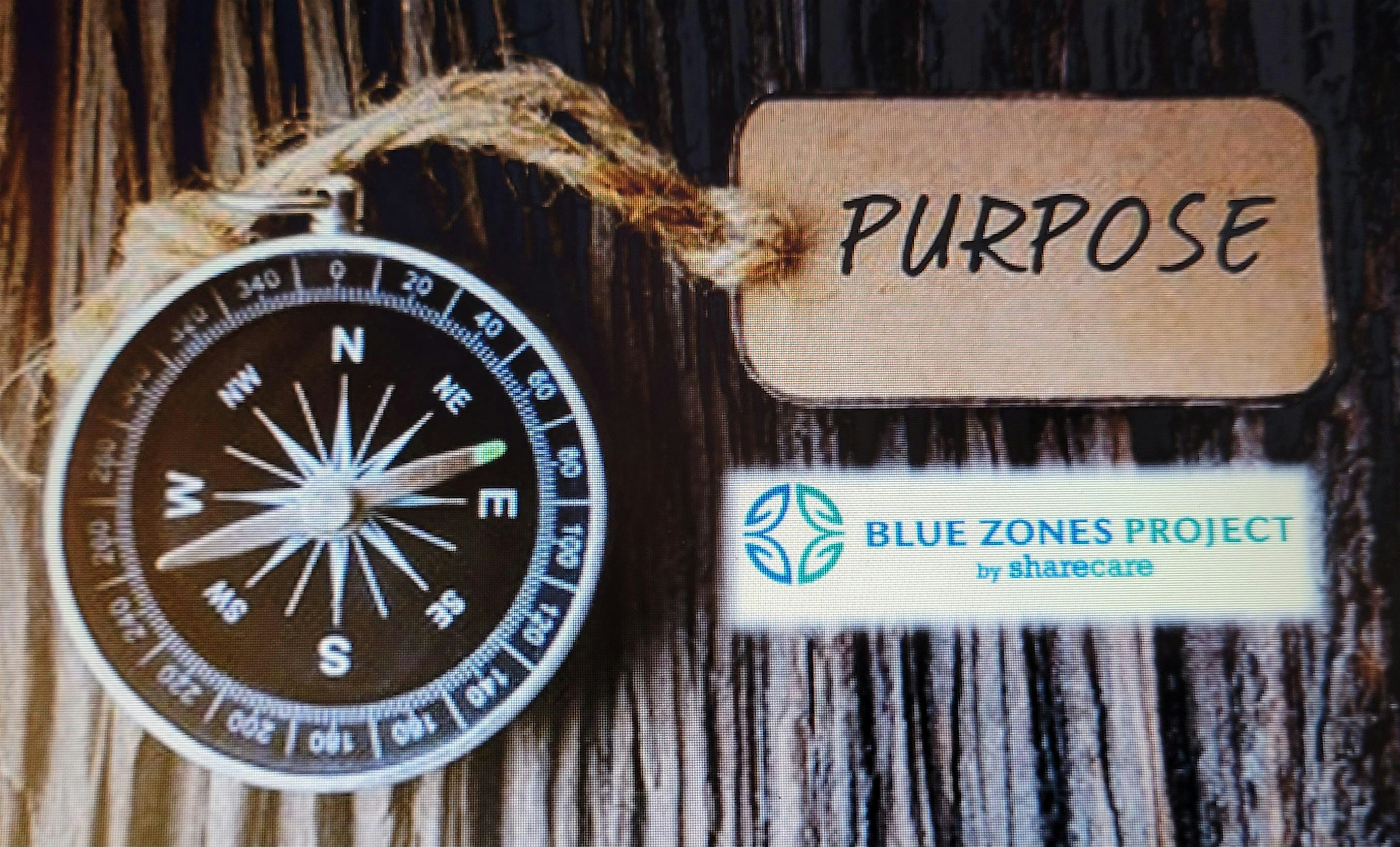 Blue Zones Purpose Workshop at NCH  Downtown / Telford Building
