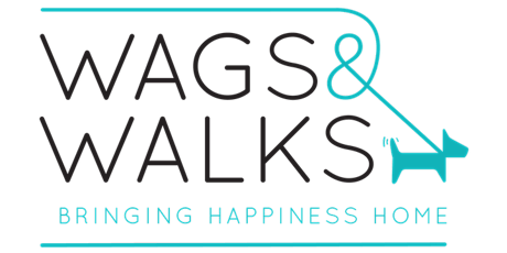 In Person Wags & Walks Volunteer Orientation