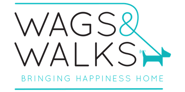 In Person Wags & Walks Volunteer Orientation