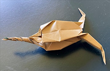 Origami - Folding Marine Life primary image