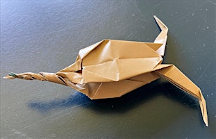 Imagen principal de Origami - Folding Marine Life