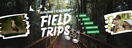 Collection image for Field Trips