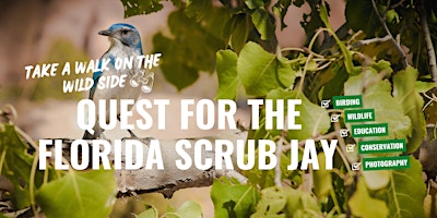 Imagem principal do evento Florida Scrub Jay Walk