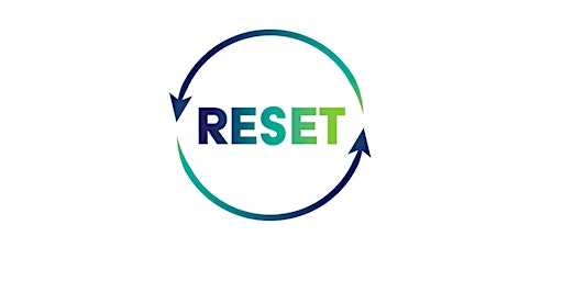 Primaire afbeelding van The Reset Mastermind