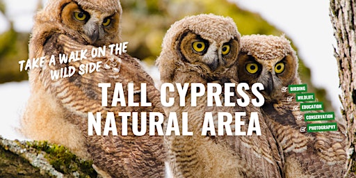 Imagem principal de Tall Cypress Natural Area