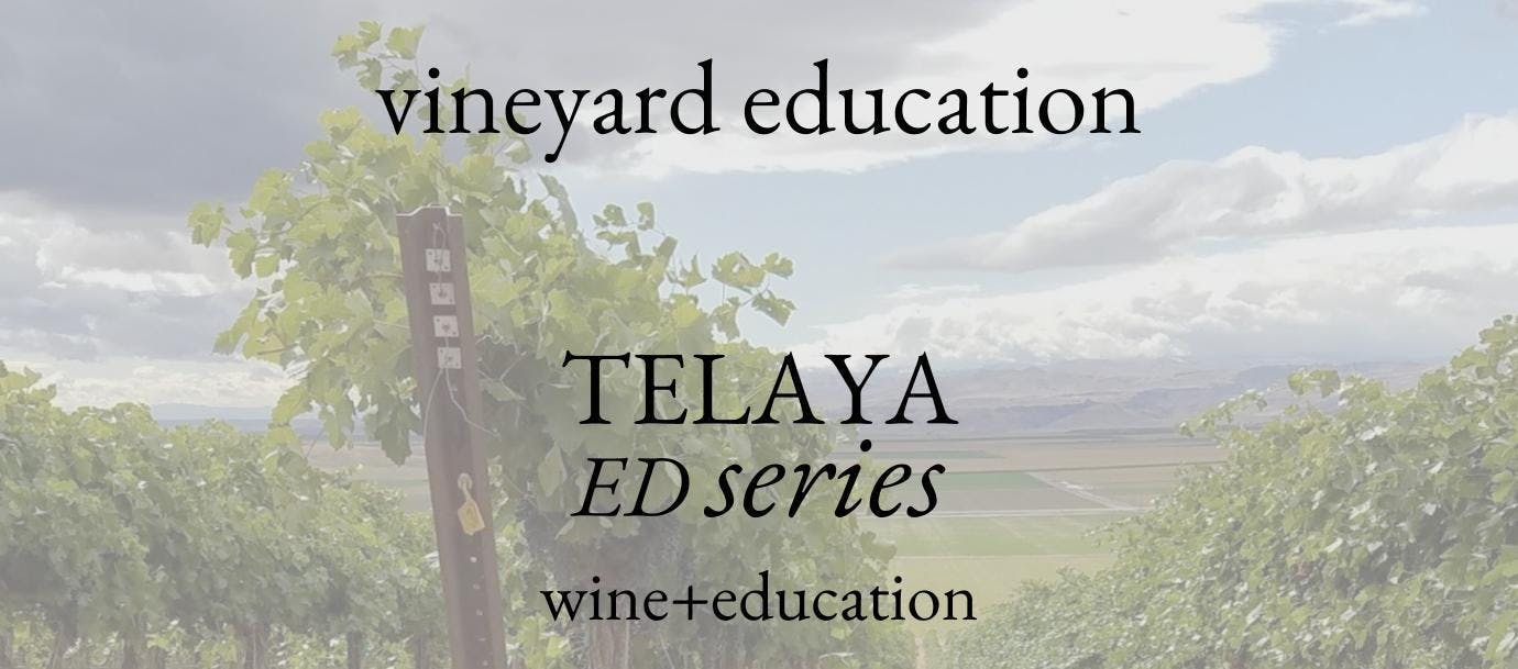 7/21 Telaya Ed - Vineyard Education
