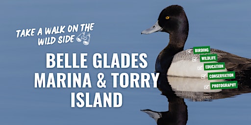 Belle Glades Marina & Torrey Island primary image
