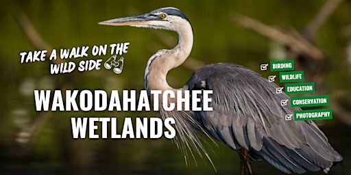 Primaire afbeelding van Wakodahatchee Wetlands