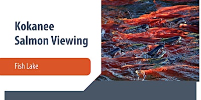 Kokanee Salmon Viewing Event — Fish Lake