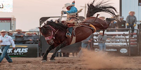 HARDGRASS BRONC MATCH  2019 primary image