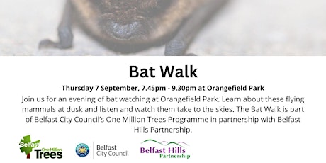 Imagem principal do evento Bat Walk at Orangefield Park