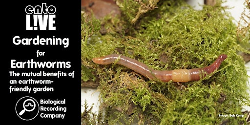 Primaire afbeelding van Gardening For Earthworms: Mutual Benefits of Earthworm-friendly Gardening