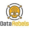 Logo von DataRebels LLC, CDVP2® Authorized Training Partner
