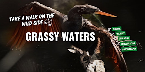 Imagem principal de Grassy Water Preserve