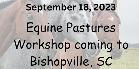 Equine Pasture Management and Teeth Care primary image