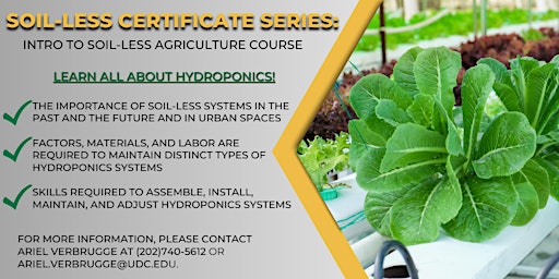 Imagen principal de Soil-less Certificate Series: Intro to Soil-less Agriculture Course