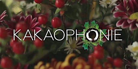 Hauptbild für KAKAOPHONIE Nr. 9 - Klavierkonzert mit Yoga & Kakao