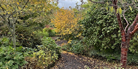 Laughter Yoga and Forest Bathing at the Botanics, Inverness