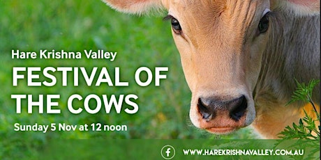 Festival Of The Cows! primary image