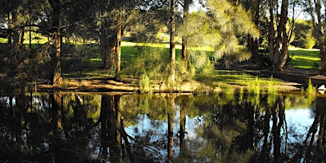 Imagen principal de Environment Workshop ‘Walk & Talk Photo Tips’