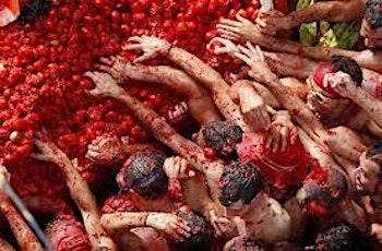 Imagen principal de Viaje y Entrada a la Tomatina!