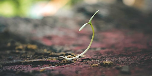 Hauptbild für Hope In Recovery