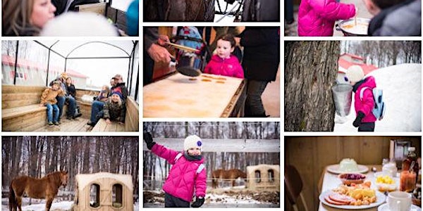 Cabane à sucre 2019