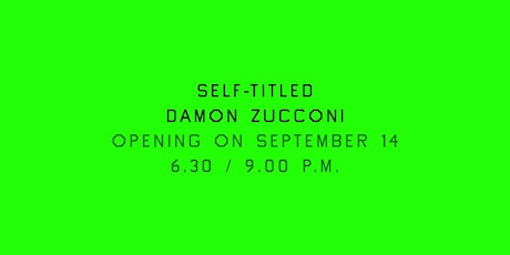 Immagine principale di NEXT OPENING: Self-Titled, solo show by Damon Zucconi 