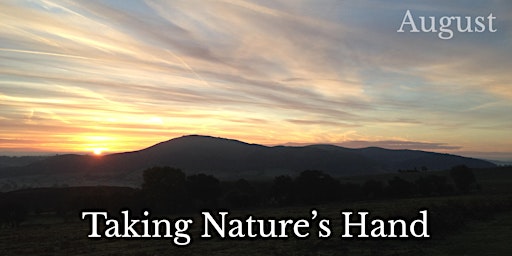 Immagine principale di Taking Nature's Hand: August. What has nature in mind for you this month? 
