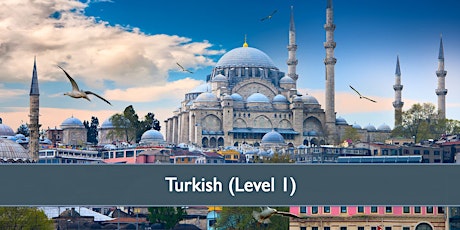 Image principale de Turkish Level 1 - April 2024