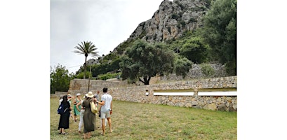 Imagen principal de 14.04 - Galería Maior, Museo de Pollença - CASTELLANO