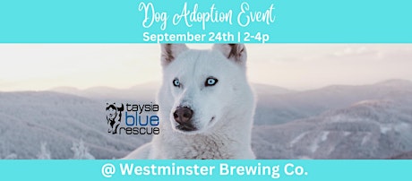 Dog Adoption Event & Fundraiser for Taysia Blue Husky & Malamute Rescue primary image