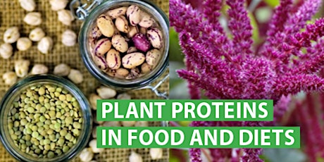 “PLANT PROTEINS IN FOOD AND DIETS” CONFERENCE  primary image
