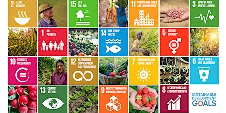 SUSTAINABLE IRELAND National Conference: Small-scale Food Producers and the SDGs primary image