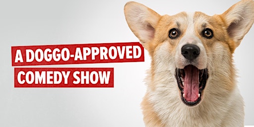 Imagem principal do evento Last Call Comedy Show: Dog-Friendly Venue