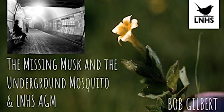 The Missing Musk and the Underground Mosquito by Bob Gilbert and LNHS AGM primary image