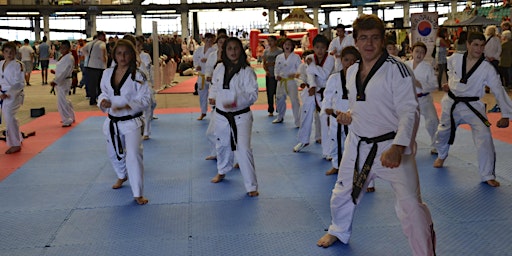 Imagem principal de di Lezione di prova Taekwondo per ragazzi 7-10 anni