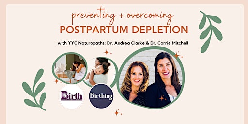 Immagine principale di Preventing + Overcoming  Postpartum Depletion 